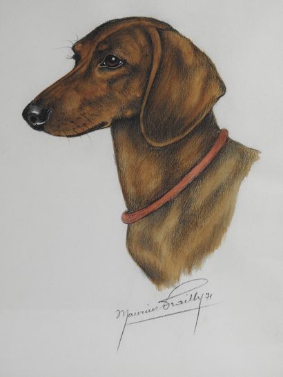 Maurice BRAILLY - XXth century : Two dog...