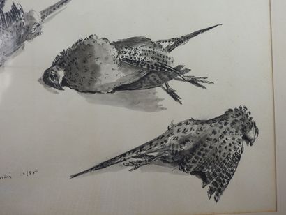 Pierre Émile THORAIN (1904-1983): Study of...