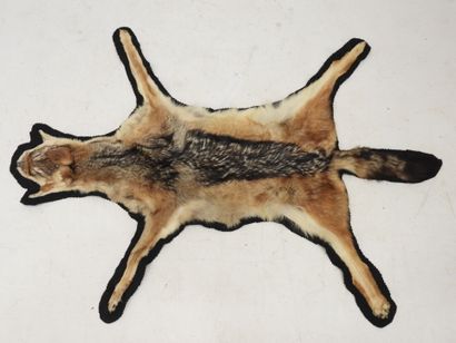 Chabraque (canis mesomelas) (CH). Flat skin....