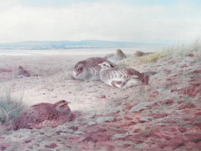 Archibal THORBURN (1860-1935) after : Family...