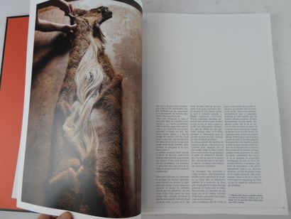 Jack THINEY. Dead or Alive. Chronicle of...