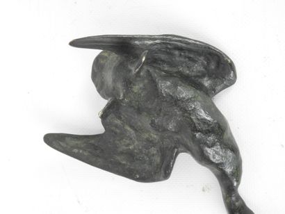 Pierre-Émile THORAIN (1904-1983) after. Duck....