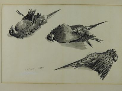 Pierre Émile THORAIN (1904-1983): Study of...