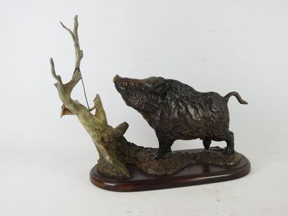 Dany CONTINSOUZAS (born in 1949) : Boar near...