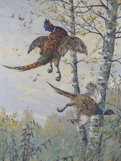 Fernand MAISSEN (born in 1873): Pheasant...