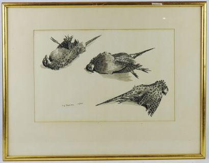 Pierre Émile THORAIN (1904-1983): Study of...