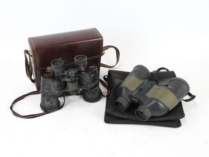 Two PAIRS OF BIRDS: Baryum and Paralux Elite...