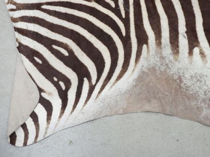 ZEBRA. Flat skin. 320 x 172 cm approxima...