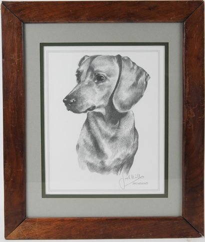 20th century ANIMAL school : Dachshund. Print...