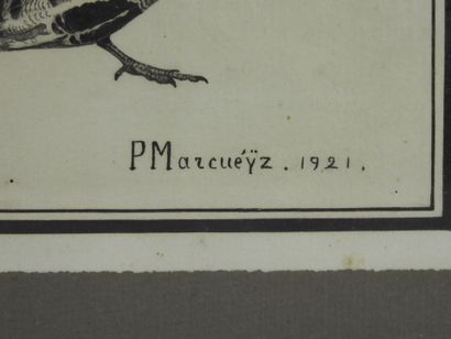 Paul MARCUEYZ (1877-1952), after : Partridge...
