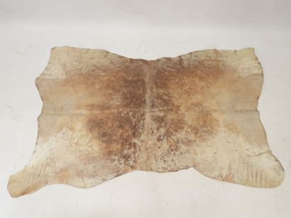 ANTILOPE. Flat skin. 165 x 108 cm