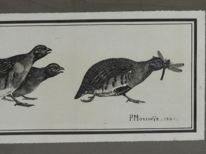 Paul MARCUEYZ (1877-1952), after : Partridge...