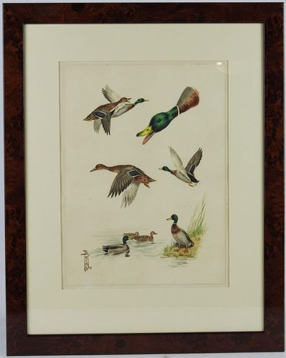 Boris RIABOUCHINSKY known as Boris RIAB (1898-1975):...