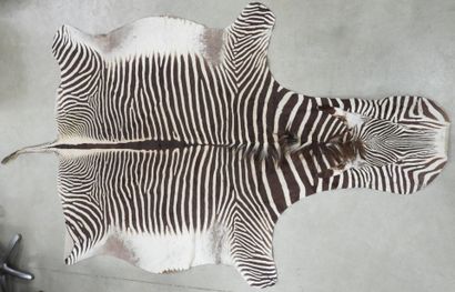 ZEBRA. Flat skin. 320 x 172 cm approxima...