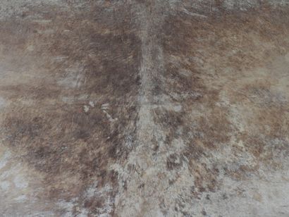 ANTILOPE. Flat skin. 165 x 108 cm