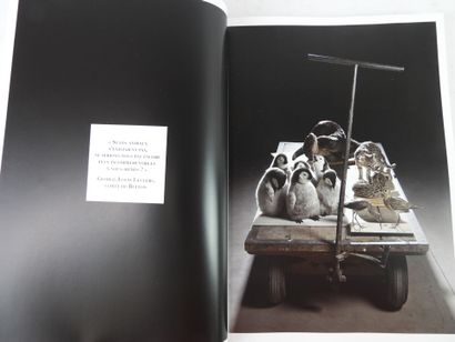 Jack THINEY. Dead or Alive. Chronicle of...