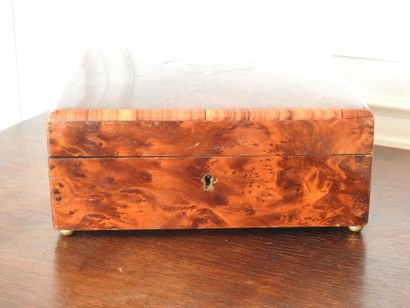 Square-shaped box in burr walnut and medallion...