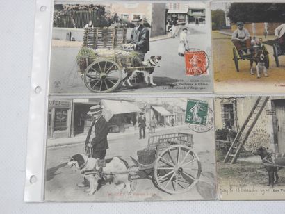 FRANCE. 12 cpa Charettes à chien En Sologne,...