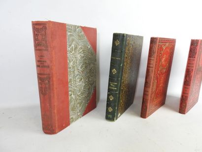 Jules VERNE (1828-1905) : L'Ecole des Robinsons,...