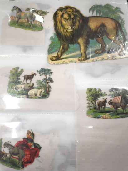 CHROMOLITHOGRAPHIES - ANIMAUX : Lot de planches...