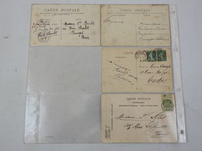 FRANCE. 8 cpa Arbres géants, marchés Ardèche,...