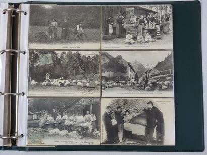 FRANCE. Album vert de 200 cpa environ dont...