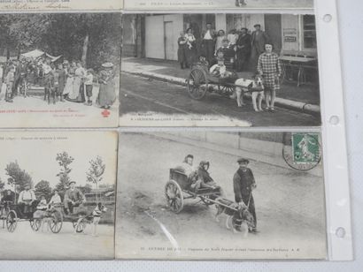 FRANCE. 12 cpa Charettes à chien En Sologne,...