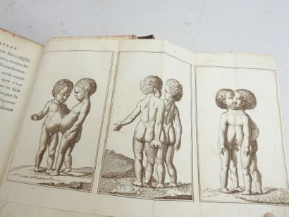 MILLOT Jacques-André. L'Art de Procréer les...