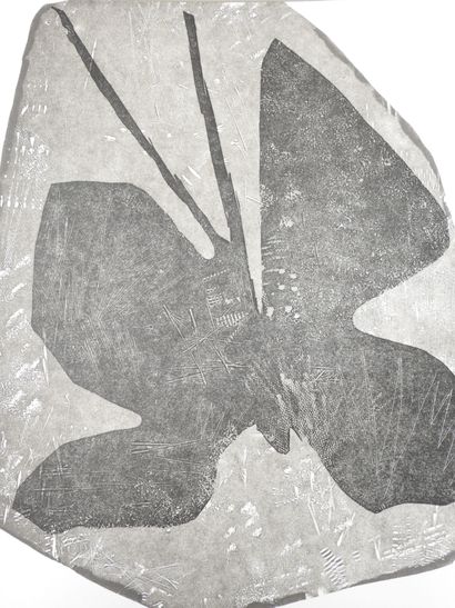 Jean-Marie TASSET : Le papillon a blanchi...