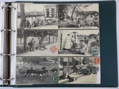 FRANCE. Album vert de 200 cpa environ dont...
