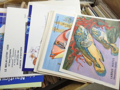 Ensemble de 5 grandes boites de cartes postales...
