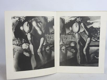 DALI Salvador. Métamorphose de Narcisse....