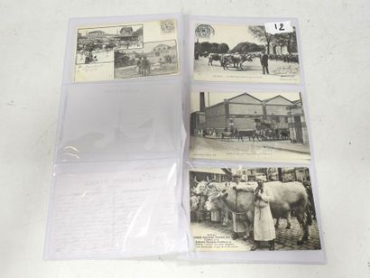 UN LOT DE cartes postales anciennes - Orléans...