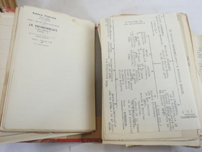 PITHIVIERS (Loiret) : Ensemble de recherche...