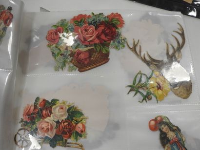 CHROMOLITHOGRAPHIES - ANIMAUX : Lot de planches...