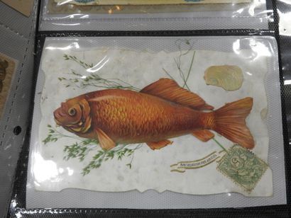 CARTES FANTAISIES gaufrées à reliefs : « Poisson...