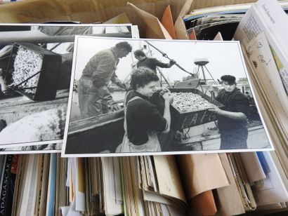 Ensemble de 5 grandes boites de cartes postales...