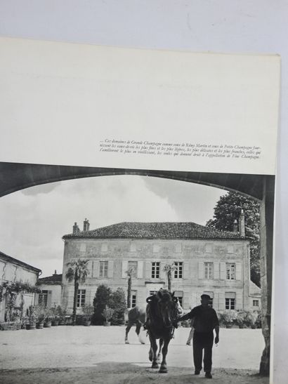 DE VILMORIN Louise. Cognac. Paris, Remy Martin....
