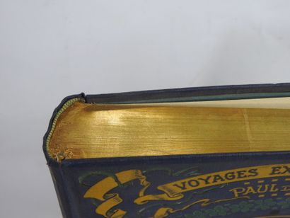 IVOI Paul d'. Voyages excentriques - Les...
