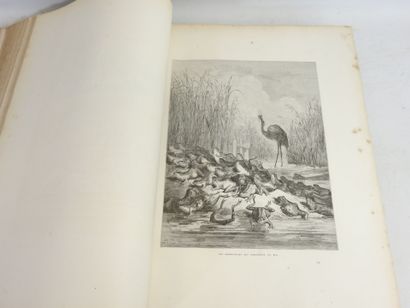LA FONTAINE Jean de. Les Fables. Paris, Hachette....