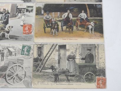 FRANCE. 12 cpa Charettes à chien En Sologne,...