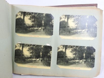 UN ALBUM de CPA dont Guerre 14-18, personnages,...