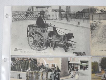 FRANCE. 12 cpa Charettes à chien En Sologne,...