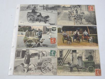 FRANCE. 12 cpa Charettes à chien En Sologne,...