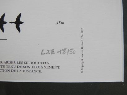 Laurent BERTIN (né en 1954) : prototype EHBS...