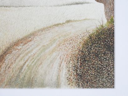Francis HULOT - XXe siècle : Sanglier. Aquarelle...