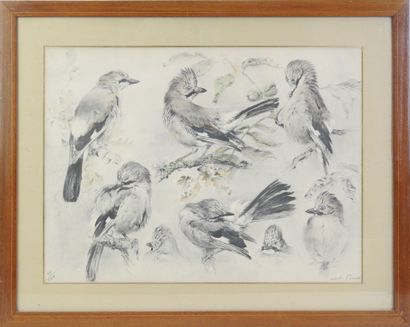 Xavier DE PORET (1894-1975) : Les Geais....