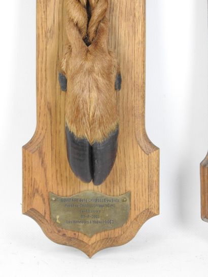 DEUX PIEDS D'HONNEUR de cerf, l'un marqué...