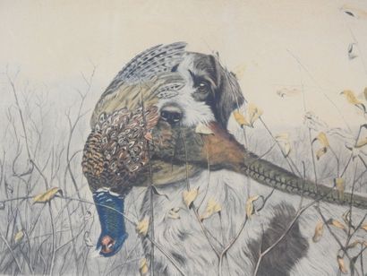 Léon DANCHIN (1889-1938) d'après : Griffon...