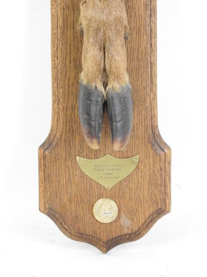 Pied d'honneur de cerf du rallye Saint Louis...